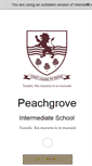 Mobile Screenshot of peachgrove.school.nz